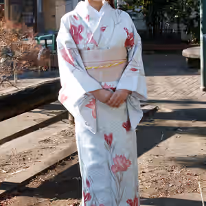 Aggressive Kimono Beauty