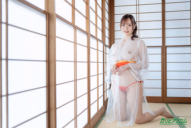 Sakai Nozomi - Refined Adult Healing House - Former No.1 Soapland Girl's True Skills sample image 1