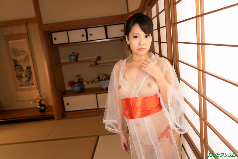 Makise Misa - Refined Adult Healing House - Tonight My Smooth Pussy Is Yours sample image 1
